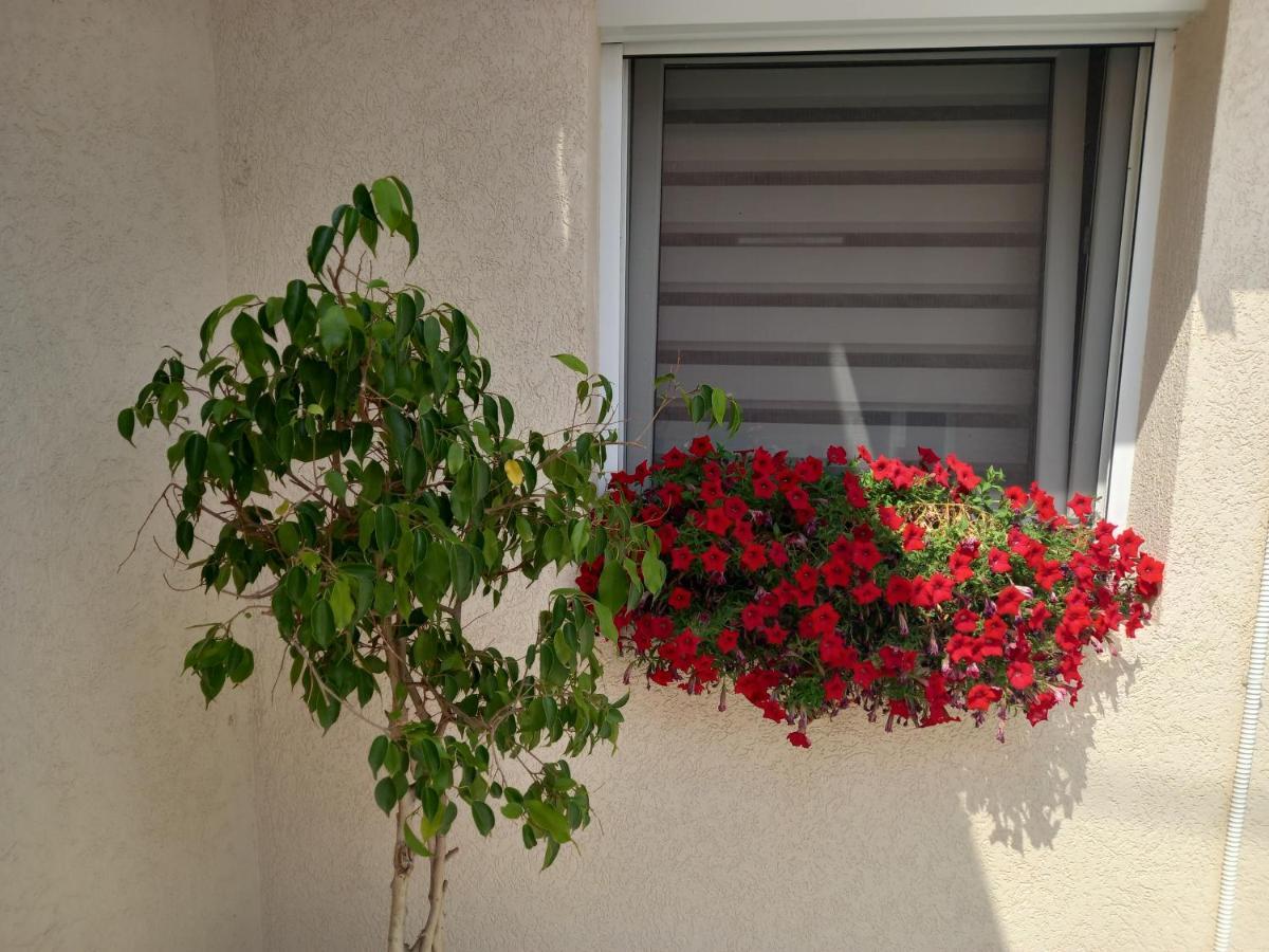 Leda Apartmani Smederevo Exteriér fotografie