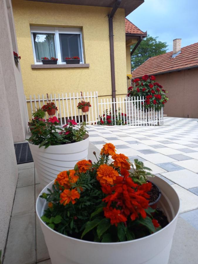Leda Apartmani Smederevo Exteriér fotografie
