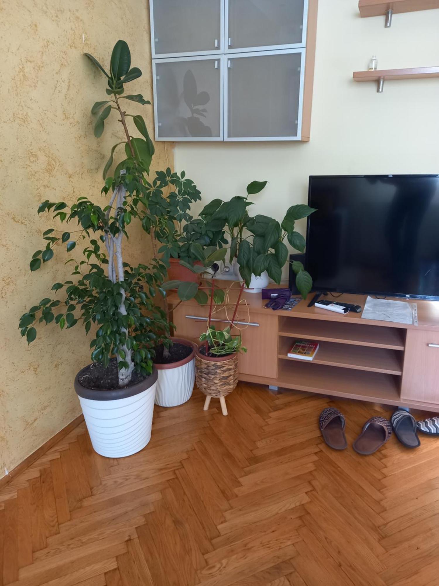 Leda Apartmani Smederevo Pokoj fotografie